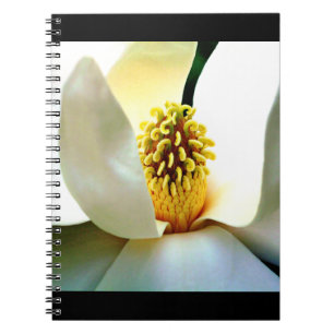 Magnolia Bloom Macro Anteckningsbok