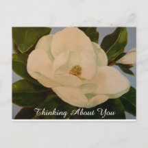 Magnolia Bloom tänker på ditt vykort