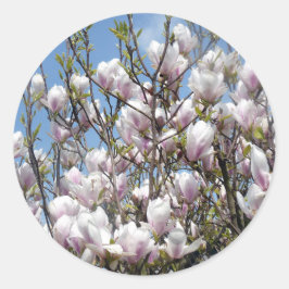 Magnolia Blooms i Vår Stickers Runt Klistermärke