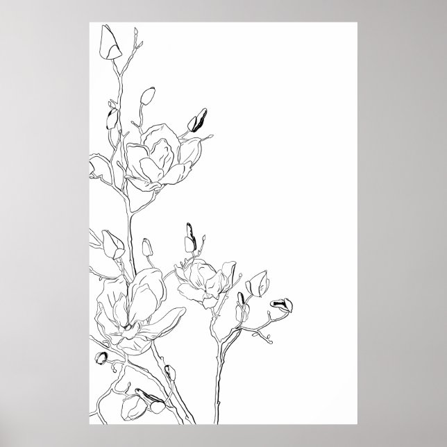 Magnolia Botanisk Linje Konst Poster (Framsidan)