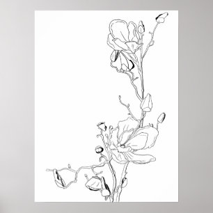 Magnolia Botanisk Linje Konst Poster