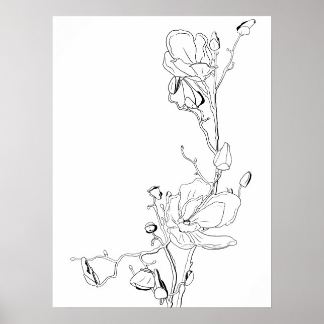 Magnolia Botanisk Linje Konst Poster (Framsidan)