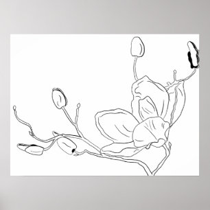 Magnolia Botanisk Linje Konst Poster