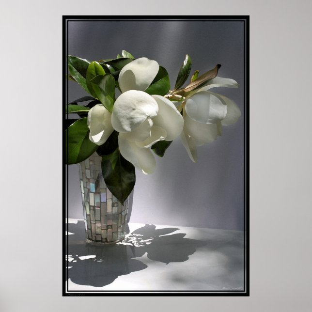 Magnolia Bouquet Poster -40 x 60 - även andra stor (Framsidan)