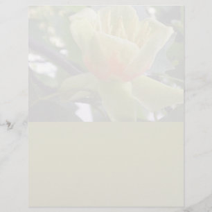 Magnolia-brevhuvud återvunnet pappert
