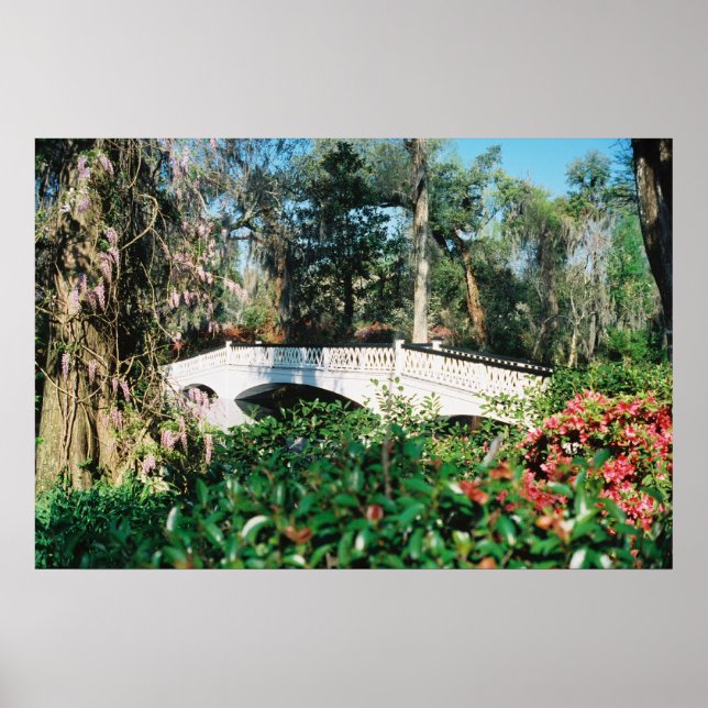 Magnolia Bridge Poster (Framsidan)