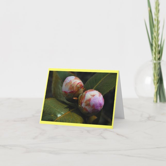 Magnolia Buds Kort (Framsida)