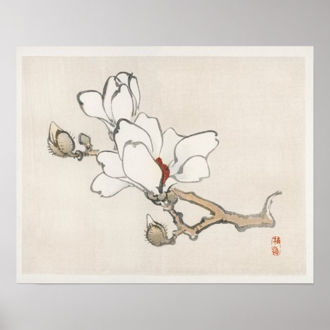 Magnolia by Kōno Bairei (1844-1895) Poster (Framsidan)