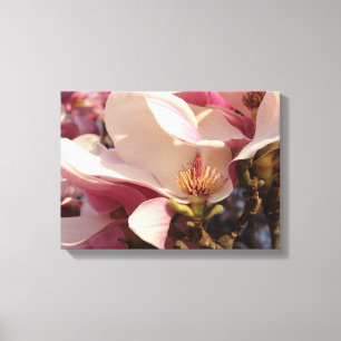 Magnolia Canvastryck