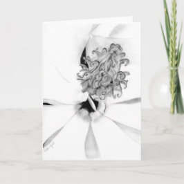 Magnolia center kort