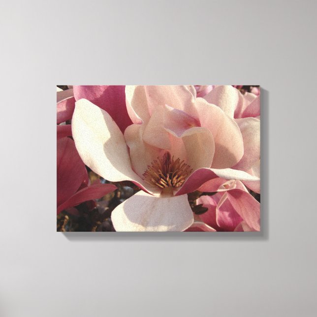 Magnolia Flower Canvastryck (Framsida)
