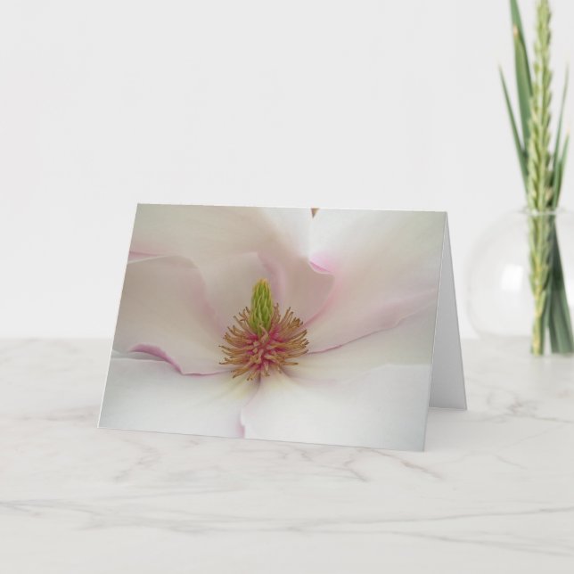Magnolia Flower Card White Blommar Card Helgkort (Framsida)