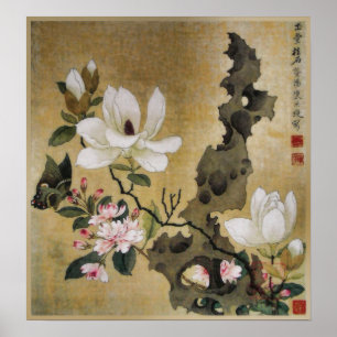 Magnolia Flower och Butterfly Ming Dynasty Poster