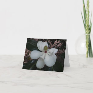 Magnolia Flower Photo Folant Note Card Anteckningskort