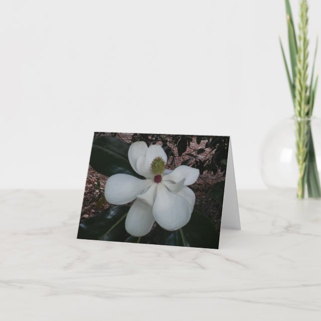 Magnolia Flower Photo Folant Note Card Anteckningskort (Framsida)