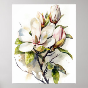 Magnolia Flowers Art Print Poster