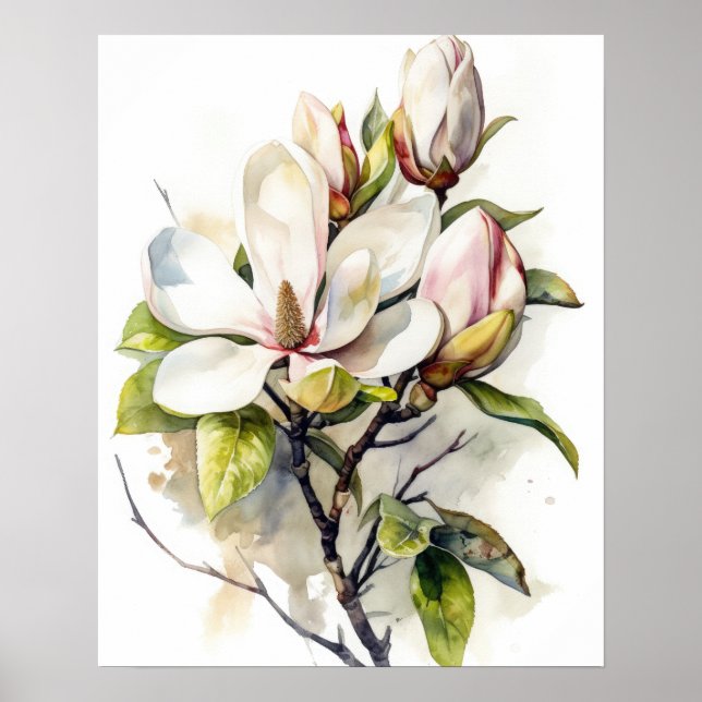 Magnolia Flowers Art Print Poster (Framsidan)