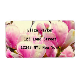 Magnolia Flowers Blommigt Botanical Blommar Chic Fraktsedel