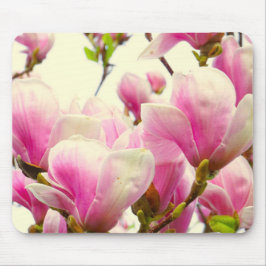 Magnolia Flowers Blommigt Botanical Blommar Chic Musmatta
