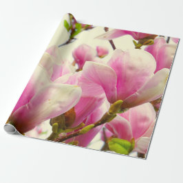 Magnolia Flowers Blommigt Botanical Blommar Chic Presentpapper