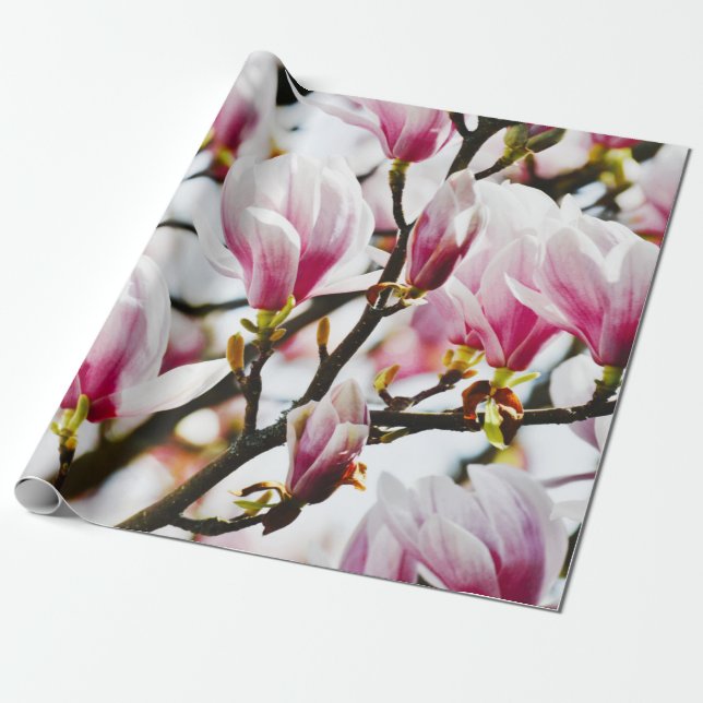 Magnolia Flowers Blommigt Botanical Blommar Chic Presentpapper (Utrullad)