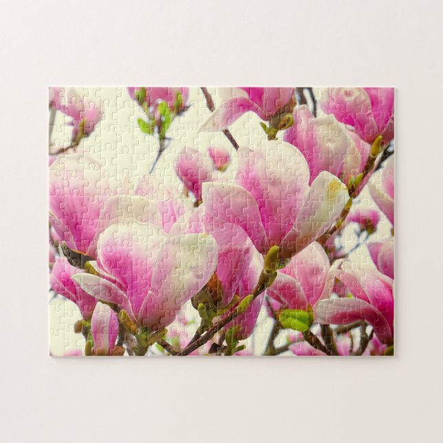 Magnolia Flowers Blommigt Botanical Blommar Chic Pussel (Horisontell)