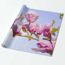 Magnolia Flowers Blommigt Botanisk Blommar Chic Wr Presentpapper