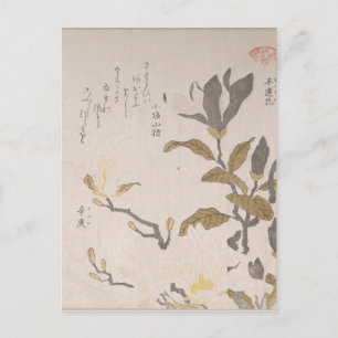 Magnolia Flowers - Kubo Shunman (japanska) Vykort