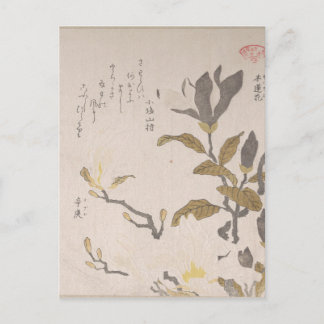 Magnolia Flowers - Kubo Shunman (japanska) Vykort