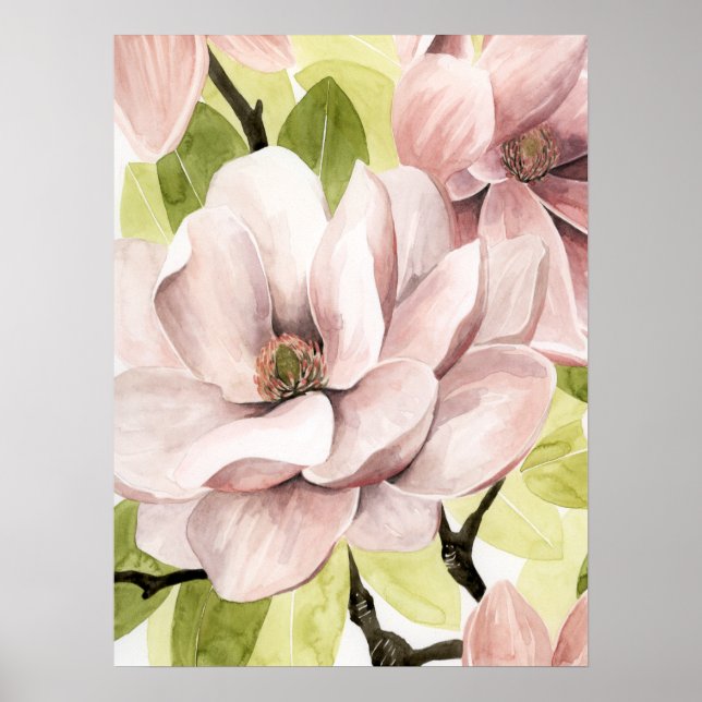  Magnolia Flowers Poster (Framsidan)