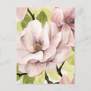 Magnolia Flowers Vykort