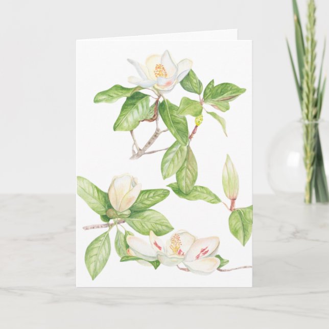 Magnolia Folkt tackkort (Framsida)