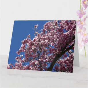 Magnolia för Mor-dagen Kort