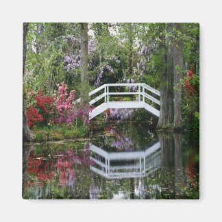 Magnolia Gardens, SA Magnet
