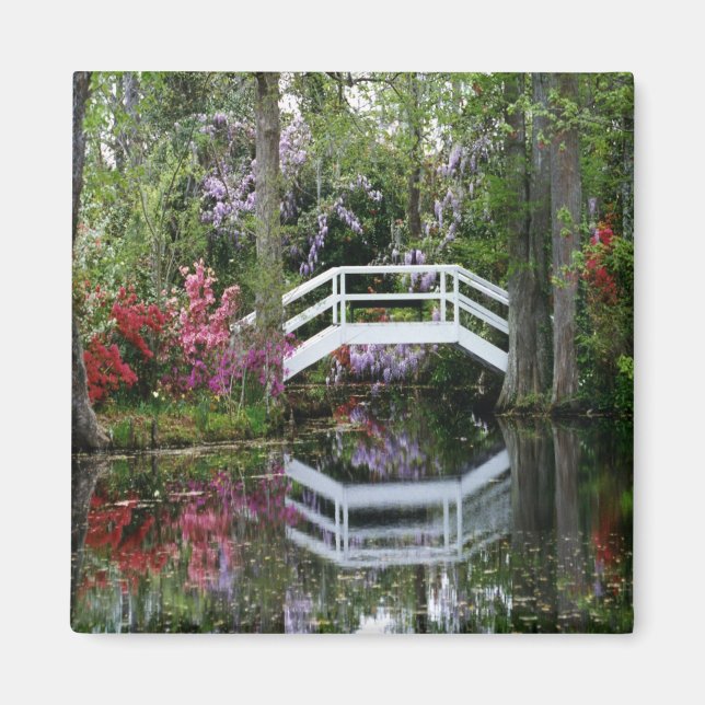 Magnolia Gardens, SA Magnet (Framsidan)