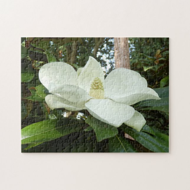 Magnolia Grandiflora Foto Pussel med presentask (Horisontell)