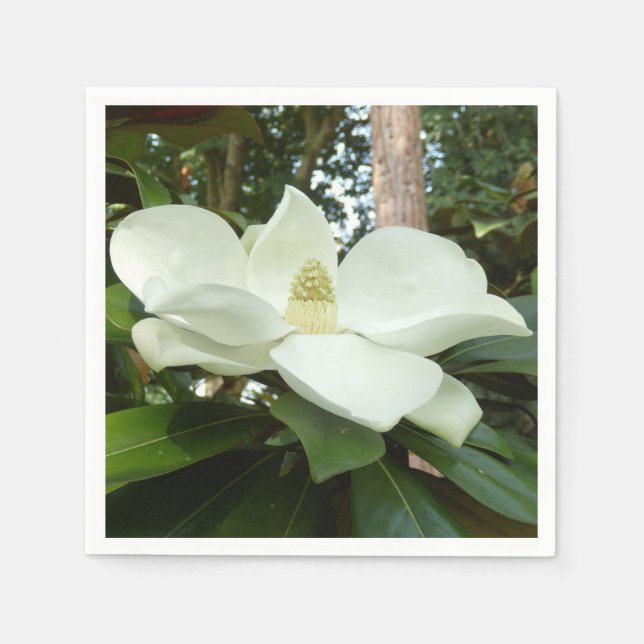 Magnolia Grandiflora Papper Napkins Pappersservett (Framsidan)