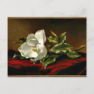 Magnolia Grandiflora-teckningar Vykort