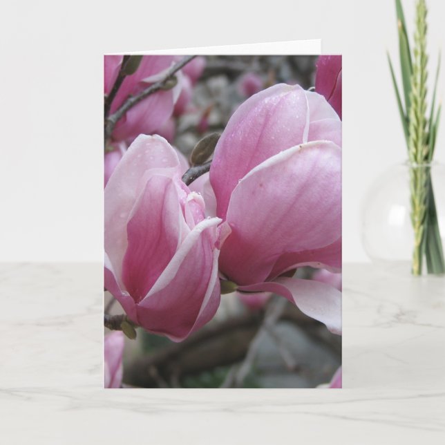Magnolia Greeting Card Kort (Framsida)