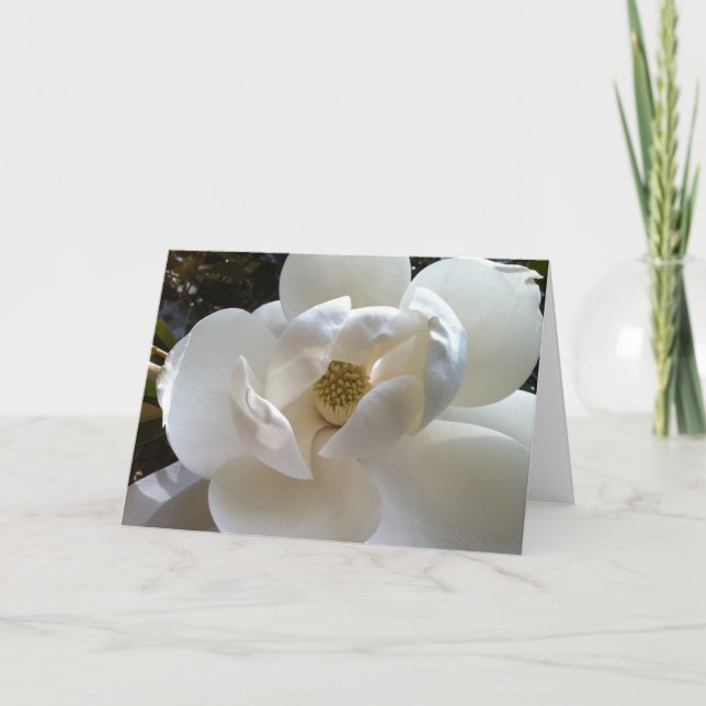Magnolia Greeting Card Kort (Framsida)