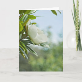 MAGNOLIA GREETING CARD KORT