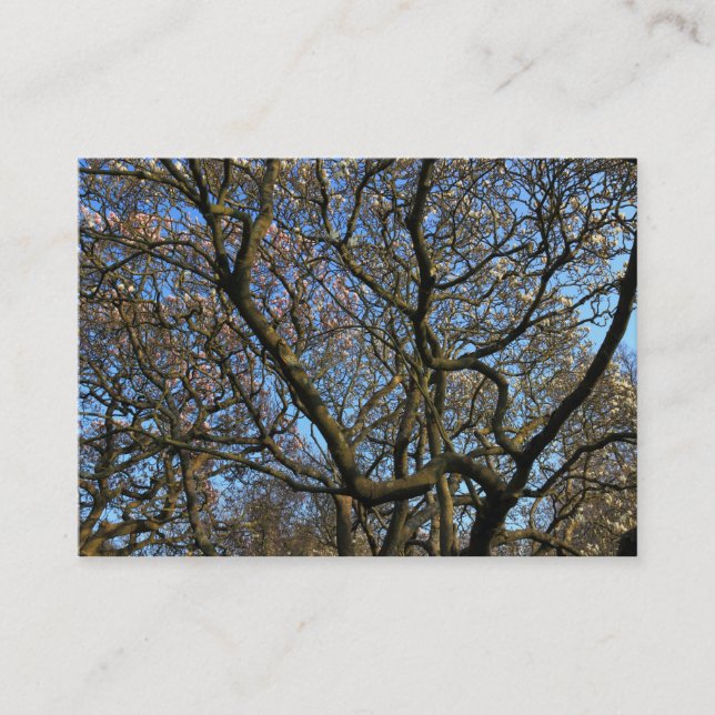 Magnolia Grenar i Tidigt Vår Visitkort (Framsida)