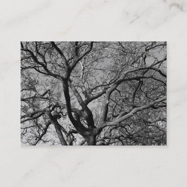 Magnolia Grenar i Tidigt Vår Visitkort (Framsida)