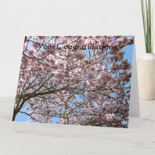 Magnolia i april kort