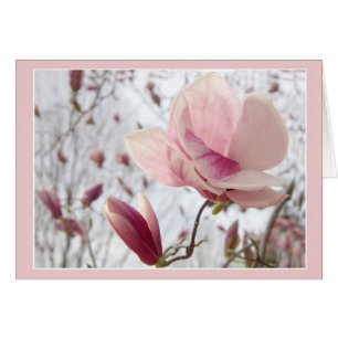 Magnolia in Rosa Hälsningskort