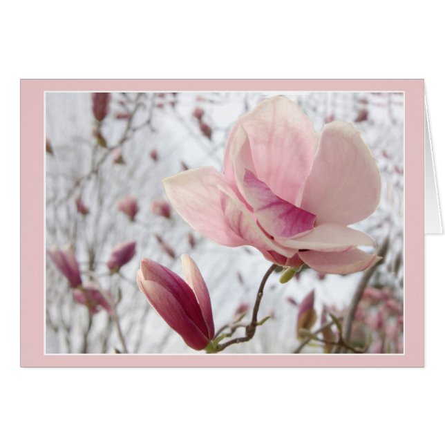 Magnolia in Rosa Hälsningskort (Framsidan Horizontal)