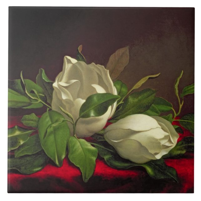 Magnolia Kakelplatta (Framsidan)