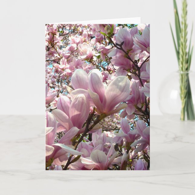 Magnolia Kort (Framsida)