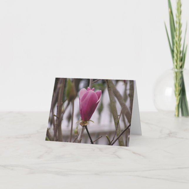 Magnolia-kort Helgkort (Framsida)