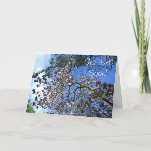 Magnolia-kort Kort